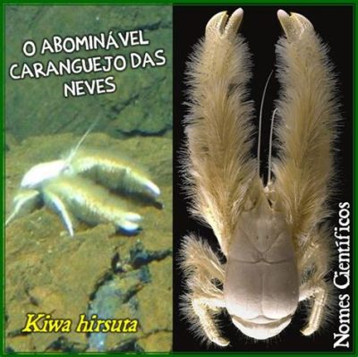  Kiwa Hirsuta: Uma Aranha-do-Mar Peluda que Habita as Profundezas Vulcânicas!