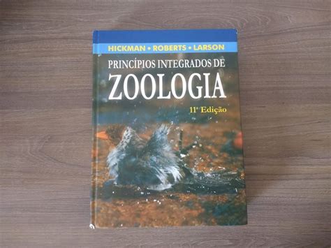  Monstro-Aranha: Um Mestre de Ilusão que te Fará Querer Abrir um Livro sobre Zoologia!